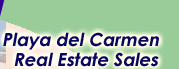 playa del carmen mexico real estate sales